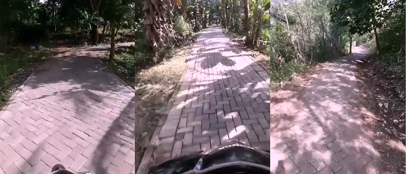 Clungup Mangrove Conservation Sebuah Harmonisasi Antara Manusia dan Alam