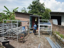 FTMM Unair Ciptakan Teknologi Smart Farming Hidroponik