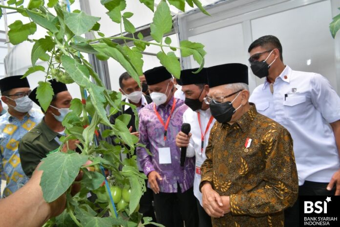 BSI Siapkan Pembiayaan KUR Syariah agar Petani Go Digital BSI Siapkan Pembiayaan KUR Syariah agar Petani Go Digital