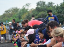SIKIA UNAIR Dorong Pemberdayaan Kelompok Sadar Wisata Banyuwangi Lewat Program Konservasi Penyu