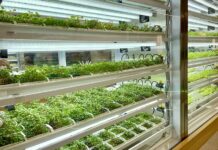 Hyperlocal Metafarming Station Hadir Pertama Kalinya di Plaza Indonesia Hyperlocal Metafarming Station Hadir Pertama Kalinya di Plaza Indonesia