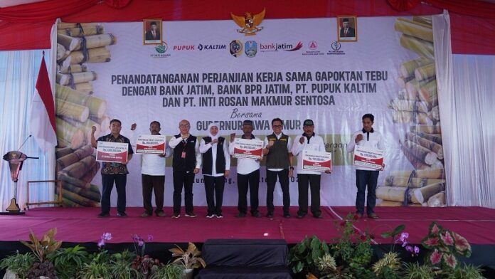 Bank Jatim Kucurkan Kredit Untuk Gapoktan Tebu Tulungagung, untuk Dukung Ketahanan Pangan Bank Jatim Kucurkan Kredit Untuk Gapoktan Tebu Tulungagung, untuk Dukung Ketahanan Pangan