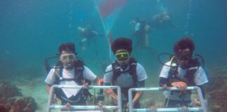 penanaman 632 bibit terumbu karang di pulau pahlawang