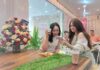Bosco Coffee: Spot ‘Ngopi’ Kekinian, Tawarkan Suasana Nyaman dan Layanan Instan Inovatif! Bosco Coffee: Spot 'Ngopi' Kekinian, Tawarkan Suasana Nyaman dan Layanan Instan Inovatif!
