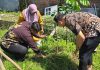 Rayakan HUT ke-130, BRI Hijaukan Medokan Ayu Lewat Program "Grow & Green"