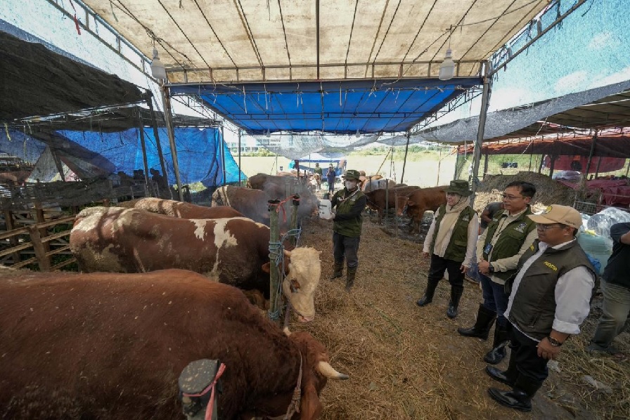 Gandeng Pemkot Surabaya, Pelindo Petikemas Pastikan Hewan Kurban Iduladha 1447 H Aman dan Sehat