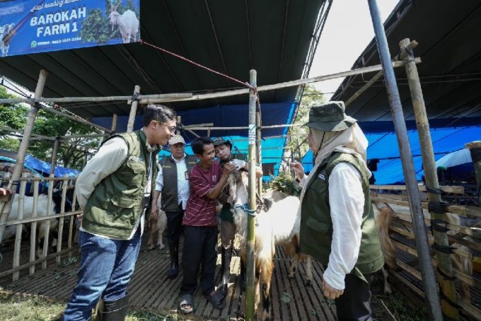 pelindo1 Gandeng Pemkot Surabaya, Pelindo Petikemas Pastikan Hewan Kurban Iduladha 1447 H Aman dan Sehat