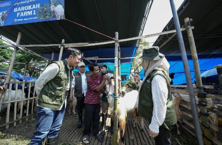Gandeng Pemkot Surabaya, Pelindo Petikemas Pastikan Hewan Kurban Iduladha 1447 H Aman dan Sehat