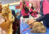 Usung Tema ‘Don’t Worry Be Healthy’, SmartHeart in Your Area 2026 Manjakan Pet Owner dan Anabul di PTC Mall Surabaya