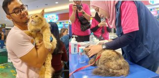 Usung Tema ‘Don’t Worry Be Healthy’, SmartHeart in Your Area 2026 Manjakan Pet Owner dan Anabul di PTC Mall Surabaya
