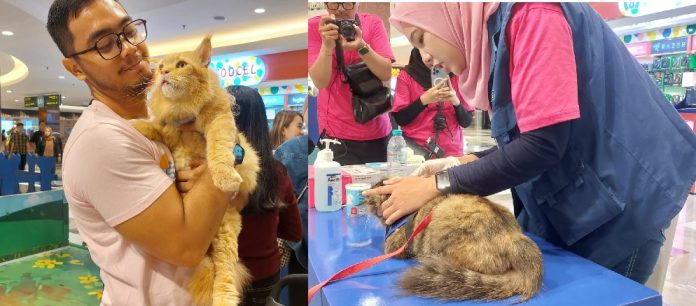 Usung Tema ‘Don’t Worry Be Healthy’, SmartHeart in Your Area 2026 Manjakan Pet Owner dan Anabul di PTC Mall Surabaya