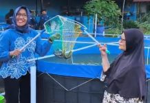 Mahasiswa S-1 Akuakultur Unesa Kenalkan Diversifikasi Pangan Lewat Produk Olahan Lele Bioflok