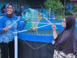 Mahasiswa S-1 Akuakultur Unesa Kenalkan Diversifikasi Pangan Lewat Produk Olahan Lele Bioflok
