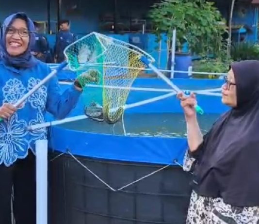 Mahasiswa S-1 Akuakultur Unesa Kenalkan Diversifikasi Pangan Lewat Produk Olahan Lele Bioflok