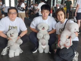 Dukung Kesejahteraan Anjing dan Shelter Lokal, PawsHope Gelar ‘Walk With Paws’ Dukung Kesejahteraan Anjing dan Shelter Lokal, PawsHope Gelar 'Walk With Paws', Jonathan Jayden Suteno (Tengah)