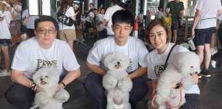 Dukung Kesejahteraan Anjing dan Shelter Lokal, PawsHope Gelar ‘Walk With Paws’ Dukung Kesejahteraan Anjing dan Shelter Lokal, PawsHope Gelar 'Walk With Paws', Jonathan Jayden Suteno (Tengah)