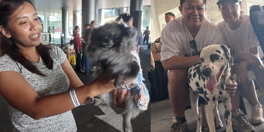 Peserta “Walk With Paws” bersama anabul kesayangannya.