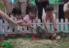 Tumbuhkan Rasa Ingin Tahu Sejak Dini, Elyon School Hadirkan Little Explorers Tumbuhkan Rasa Ingin Tahu Sejak Dini, Elyon School Hadirkan Little Explorers