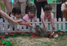 Tumbuhkan Rasa Ingin Tahu Sejak Dini, Elyon School Hadirkan Little Explorers