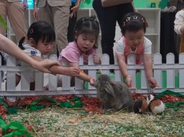 Tumbuhkan Rasa Ingin Tahu Sejak Dini, Elyon School Hadirkan Little Explorers