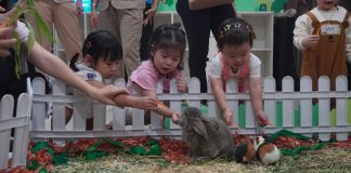 Tumbuhkan Rasa Ingin Tahu Sejak Dini, Elyon School Hadirkan Little Explorers Tumbuhkan Rasa Ingin Tahu Sejak Dini, Elyon School Hadirkan Little Explorers