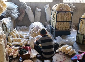 Meniti Bisnis Kerupuk di Surabaya: Kisah Herman Susilo Bersama BRI
